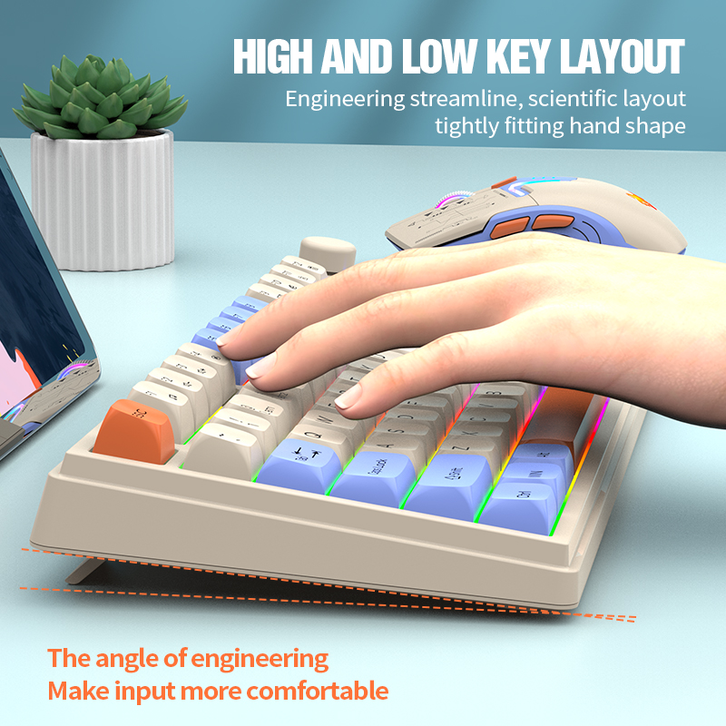 Kombo Keyboard dan Mouse Gamin - Gaming Keyboard Ergonomics ulasan dan harga